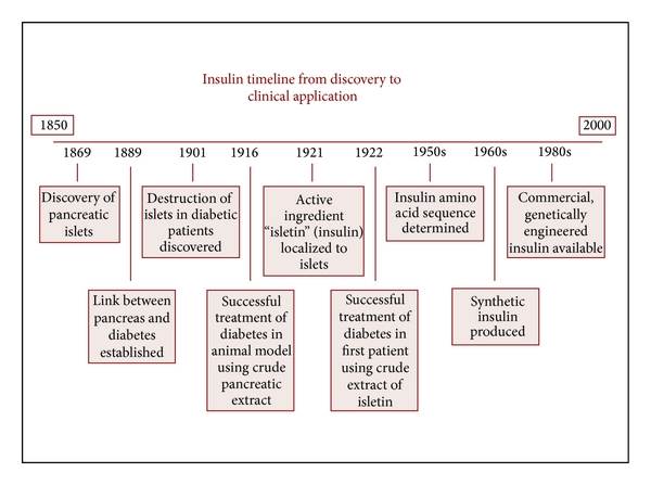 Insulin Discovery Timeline