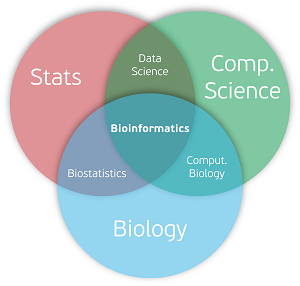 bioinformatics careers